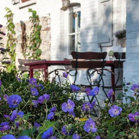 Puurteuven Tussen Kunst En Voeren