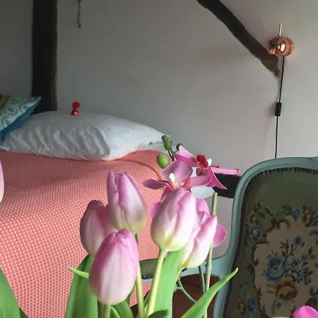 Puurteuven Tussen Kunst En Bed & Breakfast 3*
