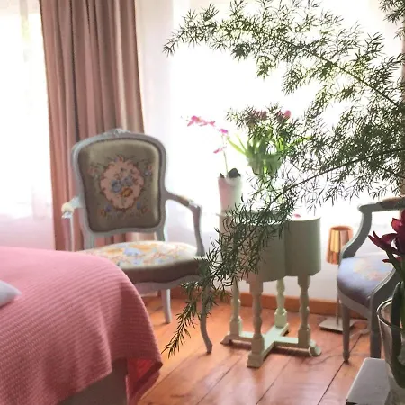 Bed & Breakfast Puurteuven Tussen Kunst En 3*