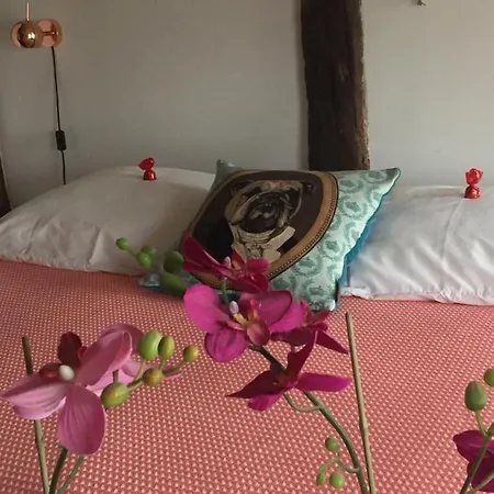Puurteuven Tussen Kunst En Вурен