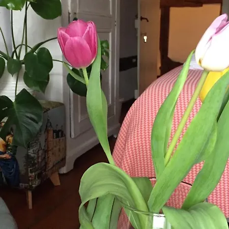 Puurteuven Tussen Kunst En Voeren