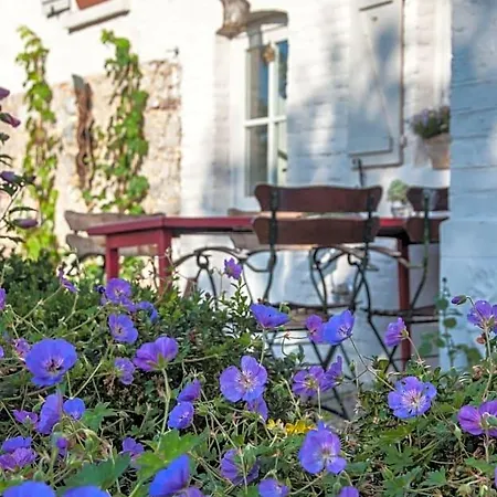 Bed & Breakfast Puurteuven Tussen Kunst En Voeren