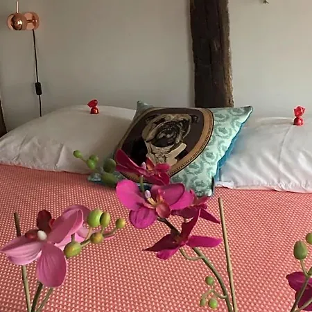 Puurteuven Tussen Kunst En 3* Voeren
