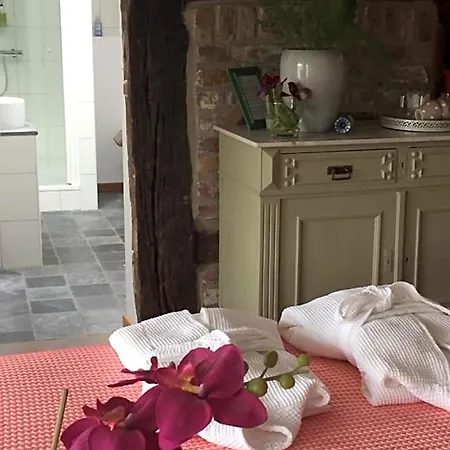 Puurteuven Tussen Kunst En Bed & Breakfast Voeren